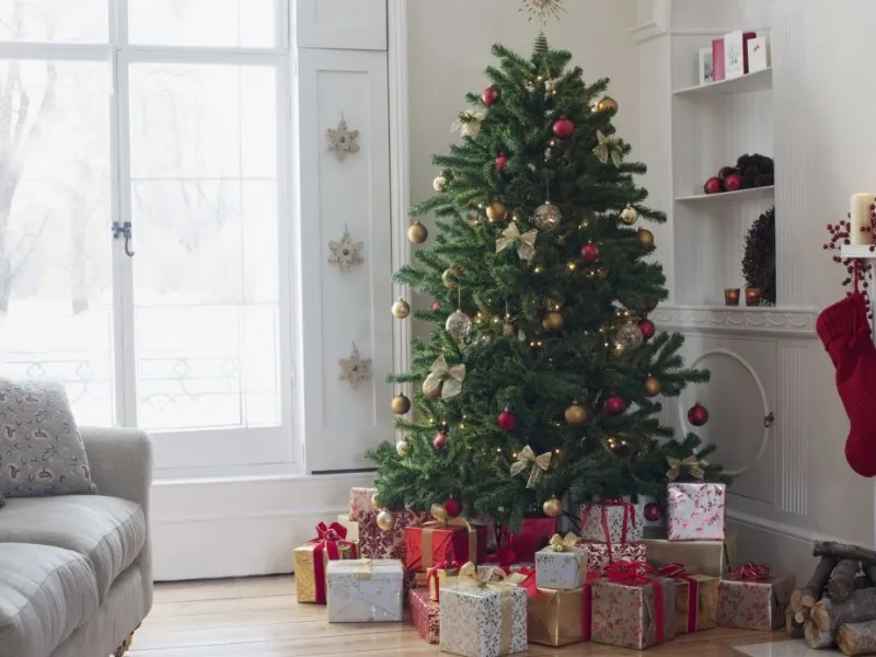Un albero di Natale ben fatto regala grandi soddisfazioni