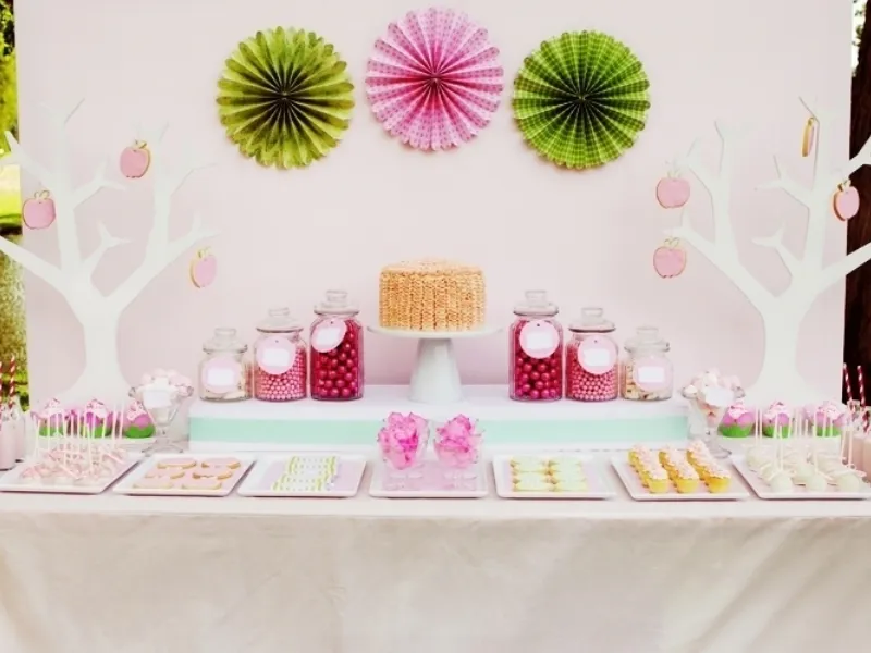 addobbi per feste di compleanno bambina