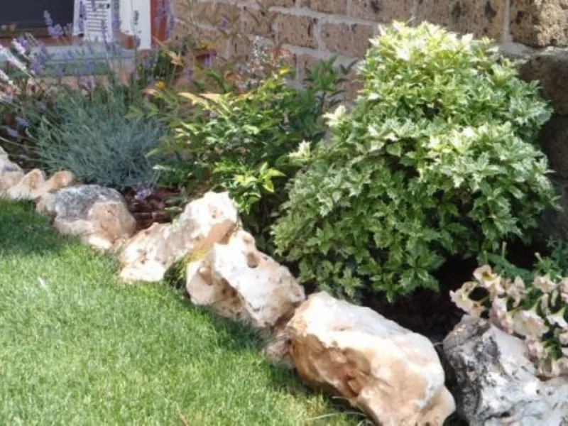Aiuole da giardino con sassi