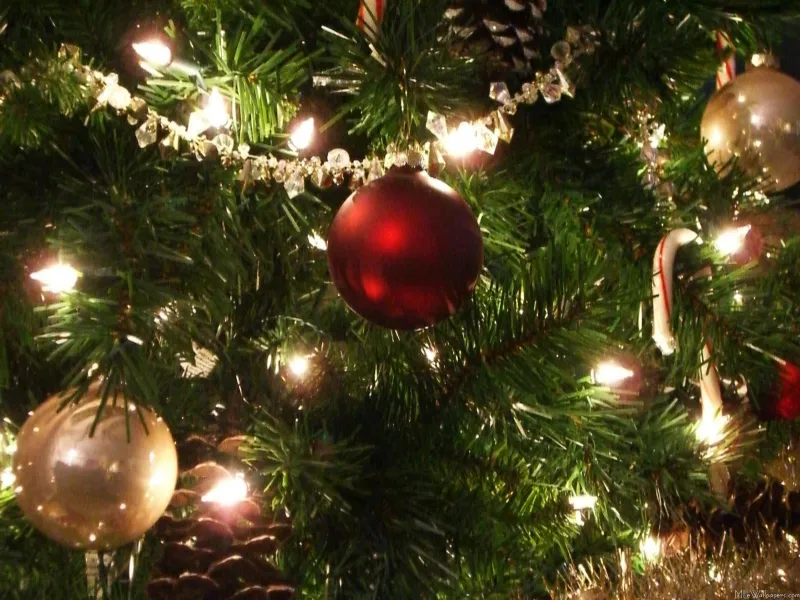 Alberi di Natale Ikea, il vero abete