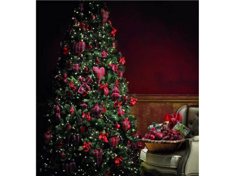casa con albero di natale