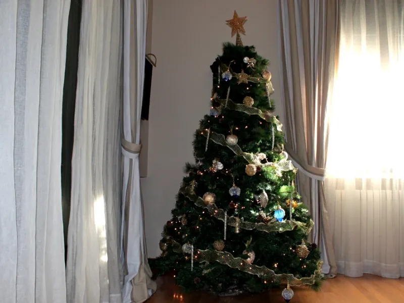Un albero di Natale naturale