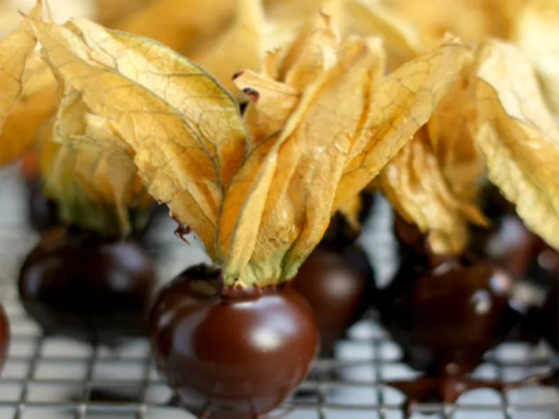 alchechengi cioccolato