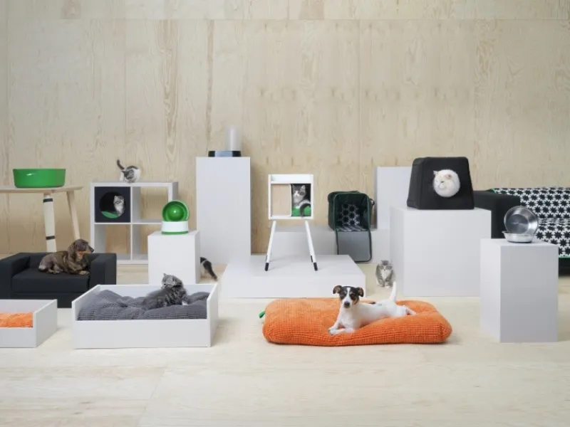 Animali in casa