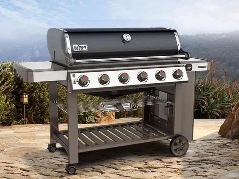 Barbecue a gas Genesis II Weber