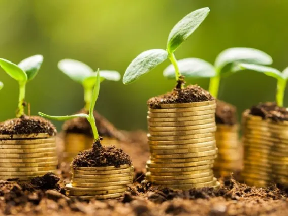 L'agevolazione destinata alle aree verdi