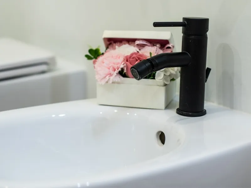 Rubinetteria bidè di Jacuzzi