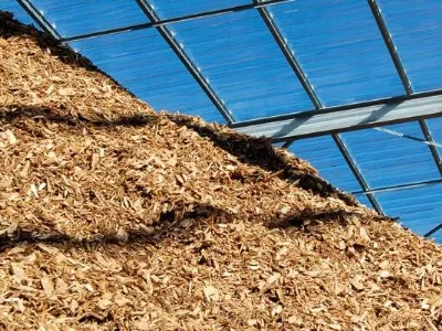 Biomasse: fonte di energia alternativa