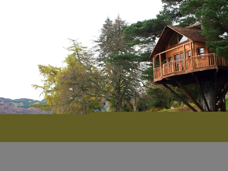 casa in legno su albero