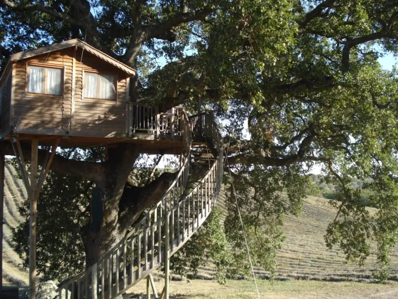 casa su albero la piantata