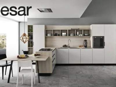 Ariel cucina cesar