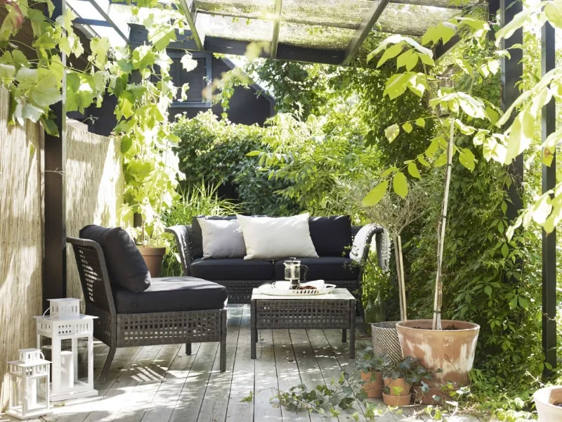 Come abbellire un terrazzo con piante