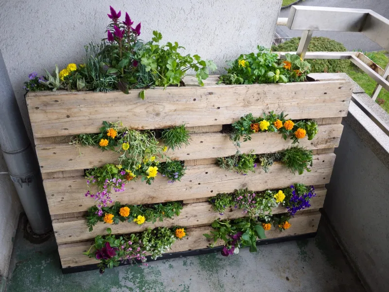 Come abbellire un giardino
