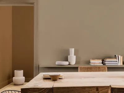 Dulux Color of the Year 2021: Brave Ground