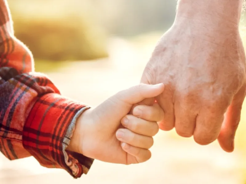 Donazione immobiliare nonno-nipote