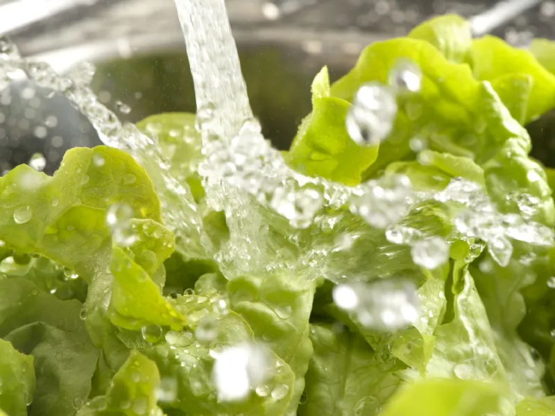 Regole generali per lavare le verdure