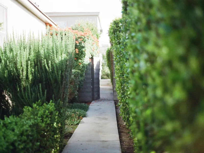 Come fare un giardino