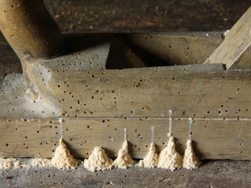 Danni causati dai tarli del legno