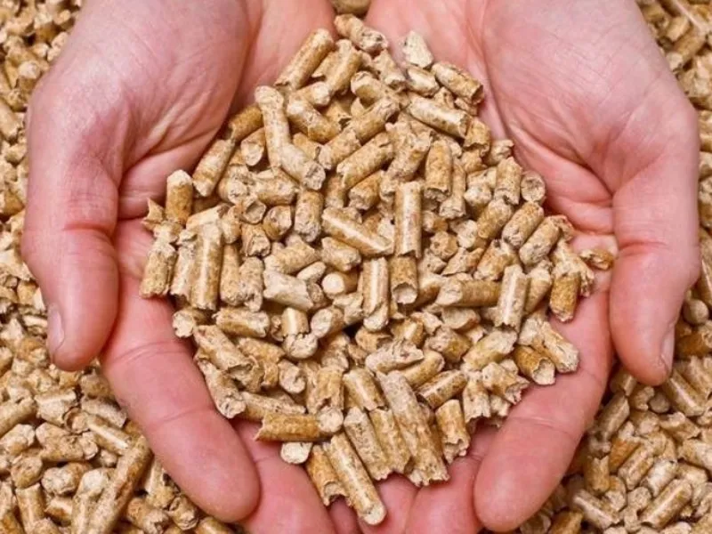 certificazione pellet