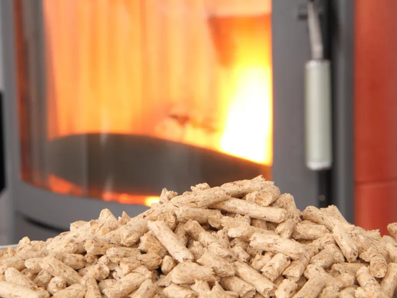pellet