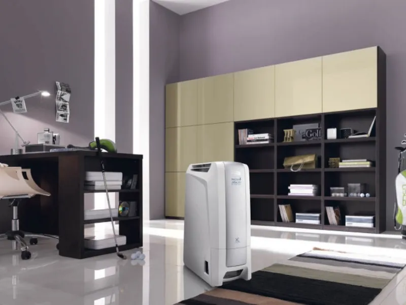 Deumidificatori elettrici