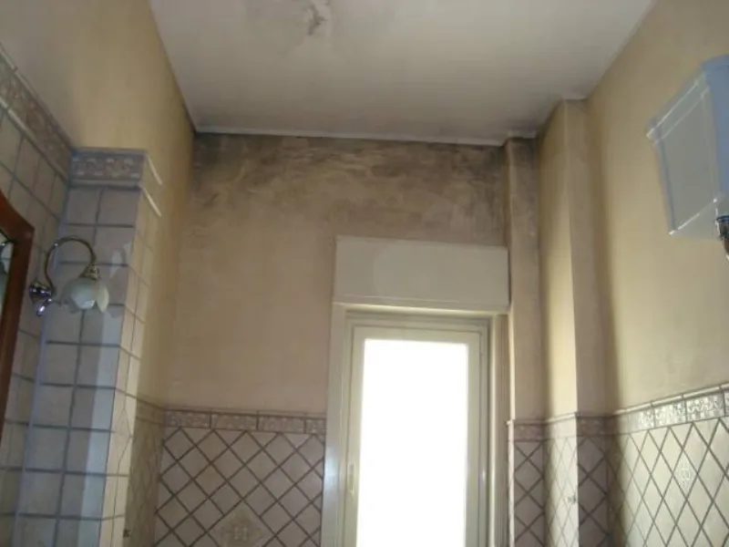 Detto fatto muffe in casa 