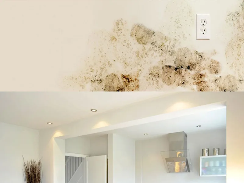 La pittura per interni Microtral di Oikos