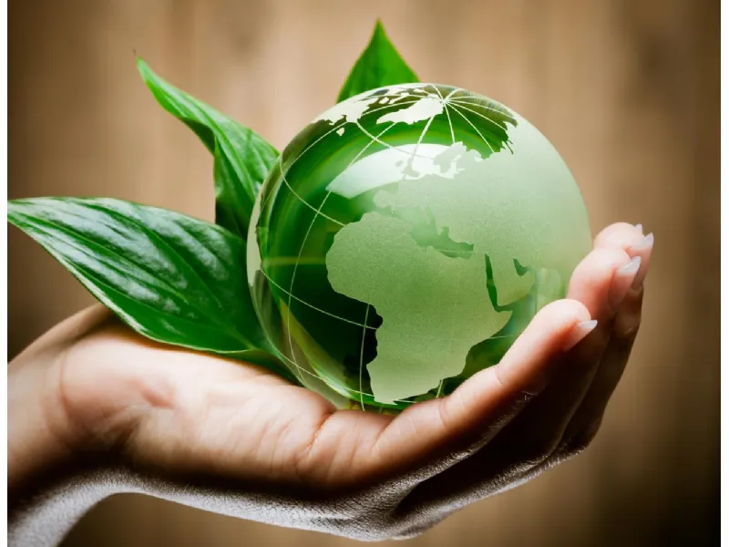 ecologia