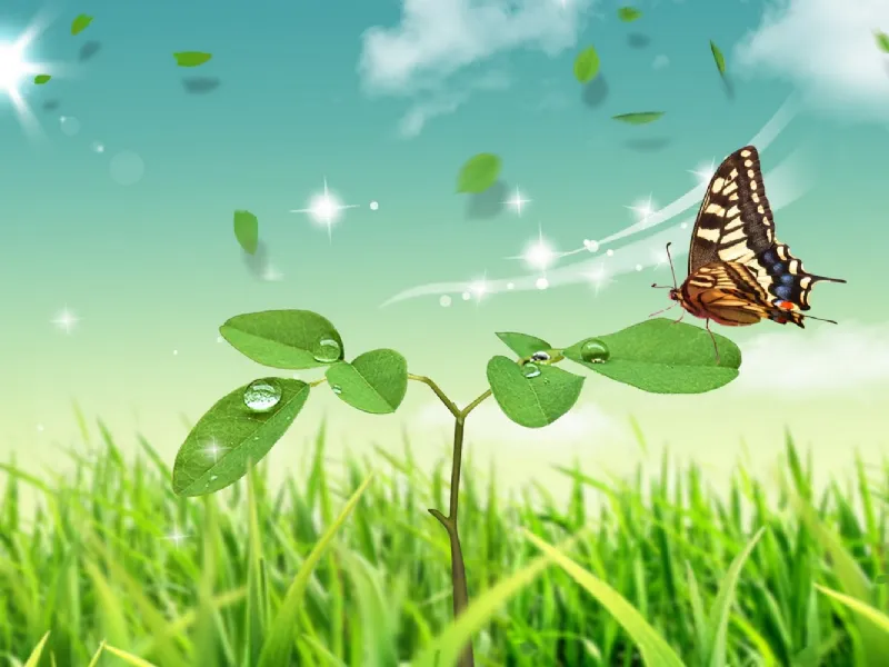 ecologia