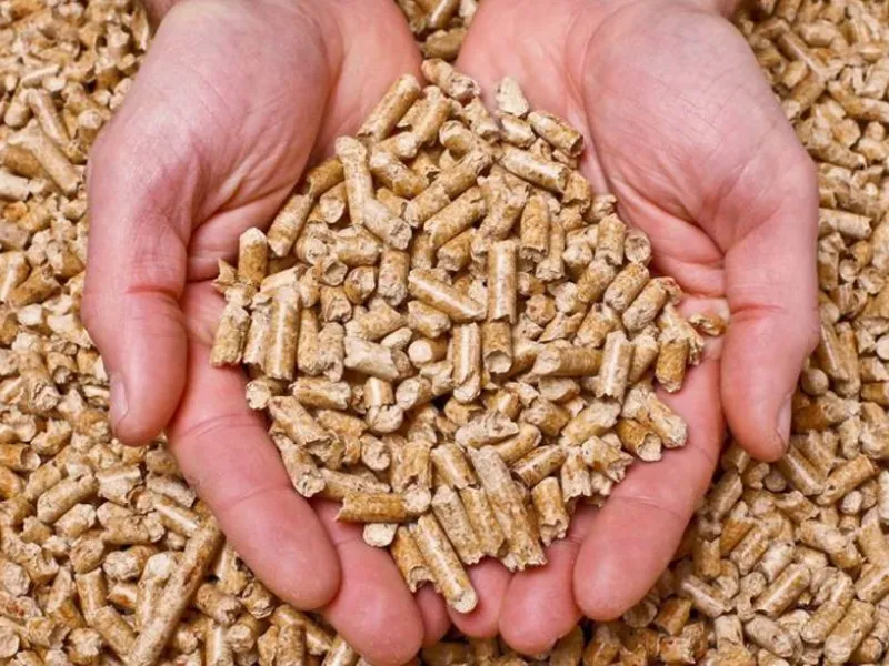 Stufe a pellet Edilkamin opinioni