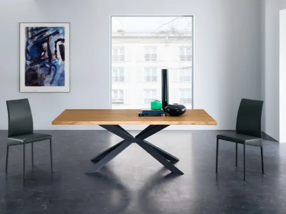 Eurosedia Design