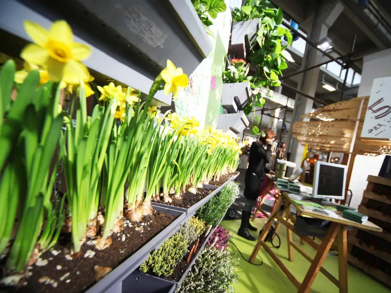 expocasa torino