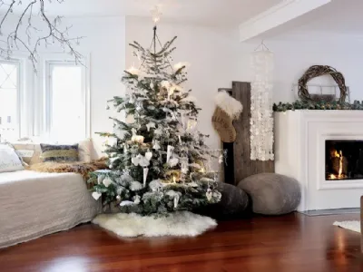Feste di Natale