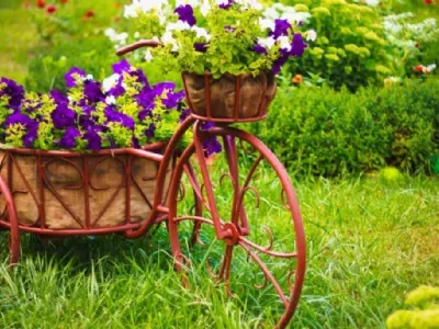 Fiori da giardino quando piantarli