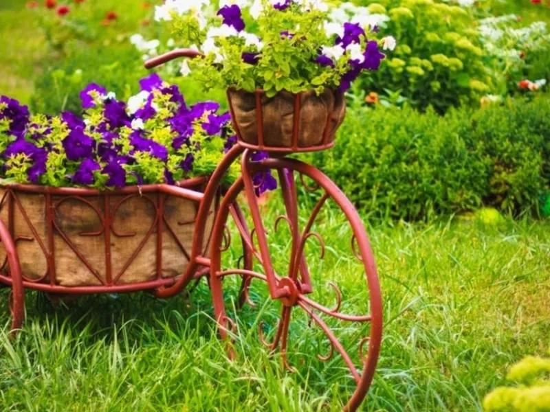 Fiori da giardino quando piantarli