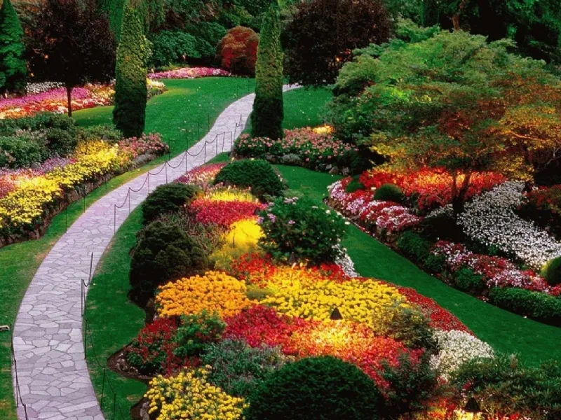 Fiori da giardino aiuole