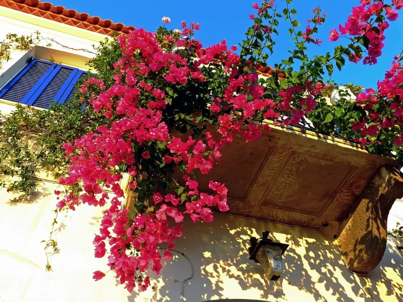 Un bel balcone fiorito