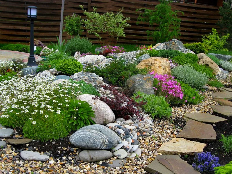 Fiori per giardino roccioso