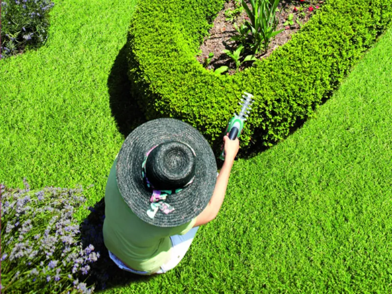 giardinaggio