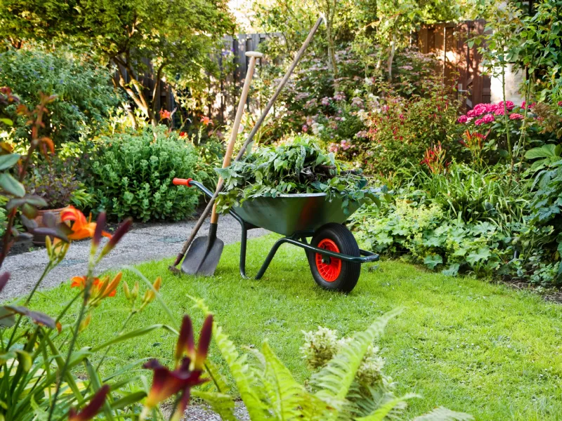 giardino fiorito