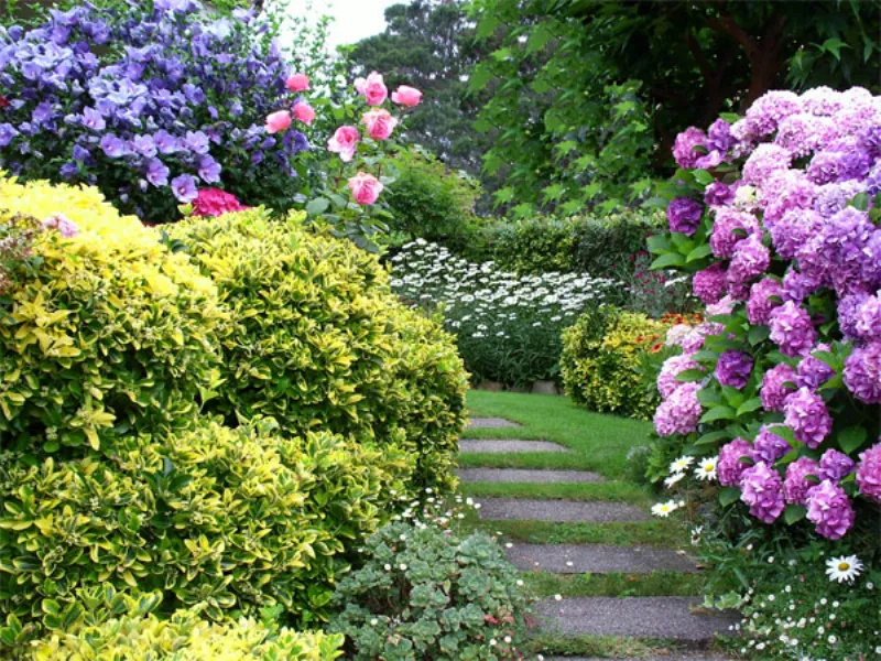 giardino fiorito