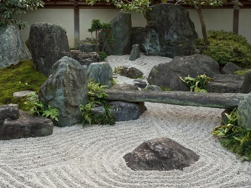 Giardini zen piante