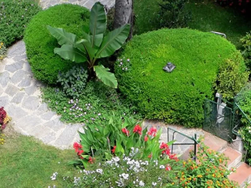 giardino architettonico