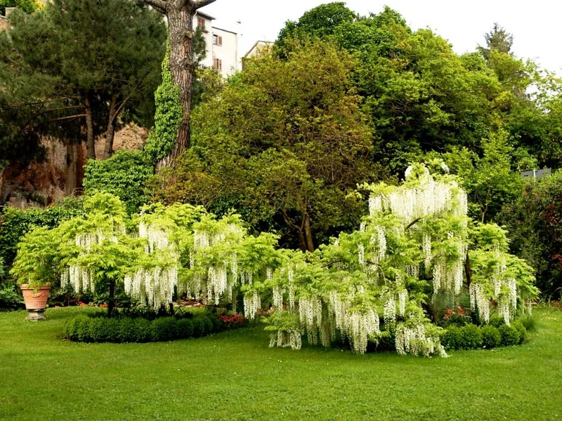 esempio giardino