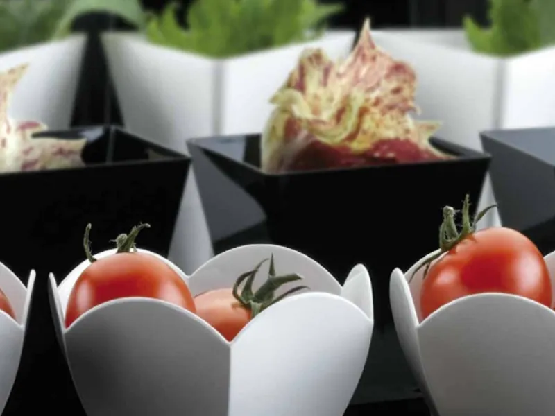 contenitori finger food gold palst