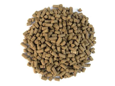 pasticche di pellets