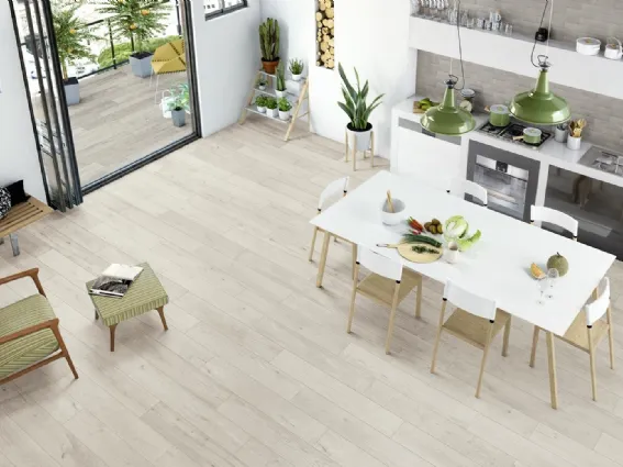 Collezione Woodspirit di Ragno