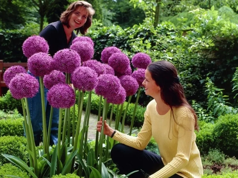 Idee giardino fai da te