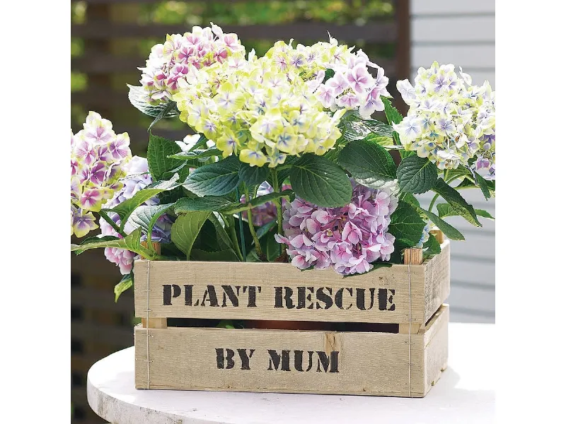 idee per giardino