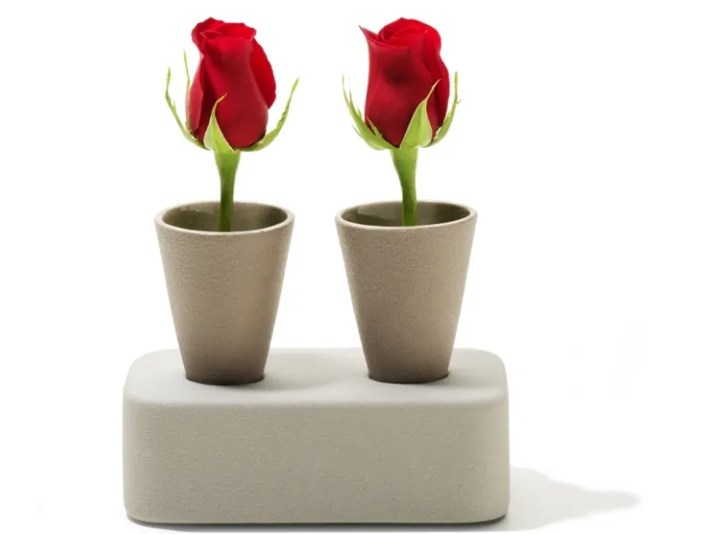Regali San Valentino